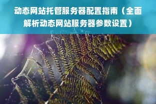 动态网站托管服务器配置指南（全面解析动态网站服务器参数设置）