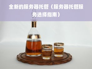 全新的服务器托管（服务器托管服务选择指南）