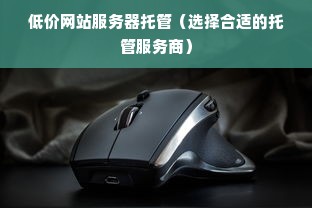 低价网站服务器托管（选择合适的托管服务商）