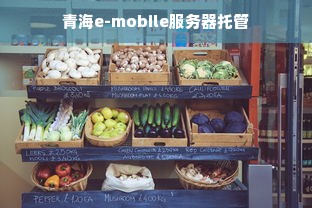 青海e-mobile服务器托管