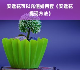 安逸花可以充值如何套（安逸花提现方法）