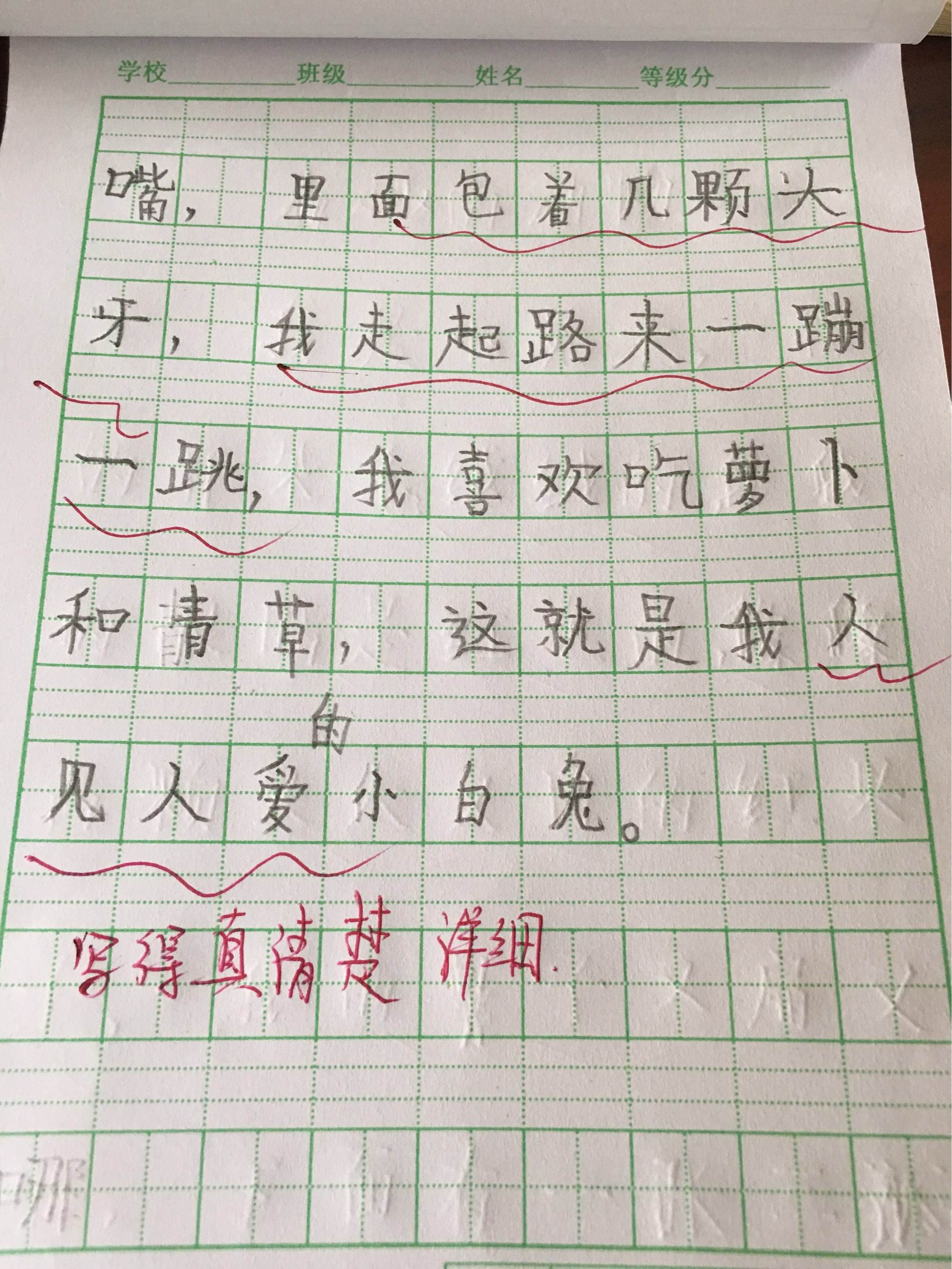 为什么要读书小练笔 为什么要读书小练笔100字四年级