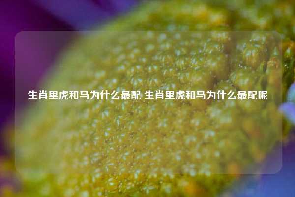 生肖里虎和马为什么最配 生肖里虎和马为什么最配呢