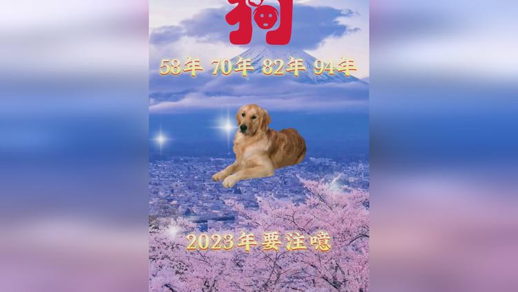 58年2022属什么生肖 58年属什么今年多大2020