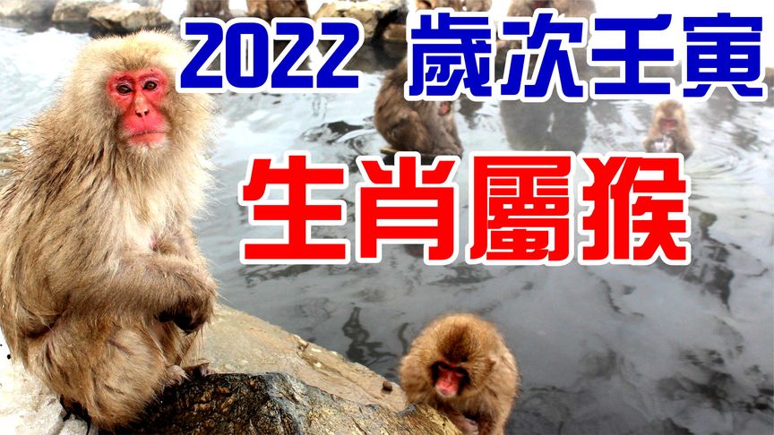 66年2022属什么生肖 66年属什么生肖多少岁2020