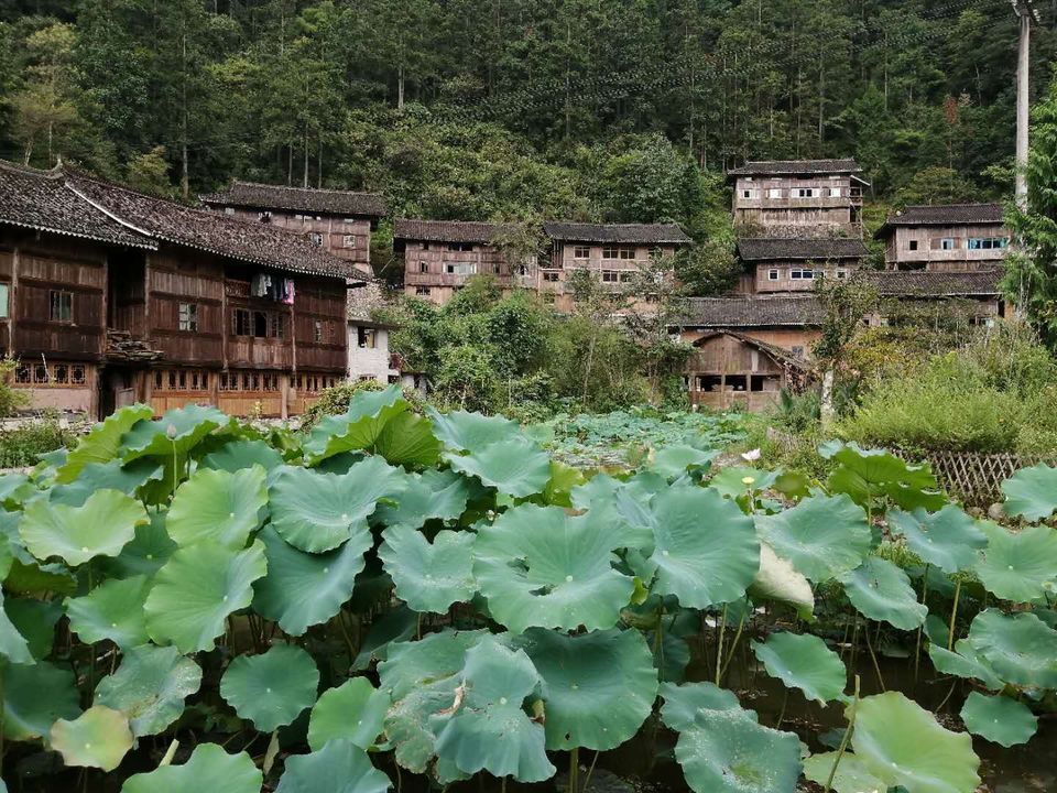 五一去哪玩清镇 清镇旅游攻略必玩的景点