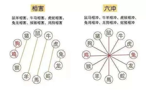 家庭十二生肖相冲相克表 十二生肖家庭成员属相调查表