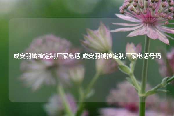 成安羽绒被定制厂家电话 成安羽绒被定制厂家电话号码