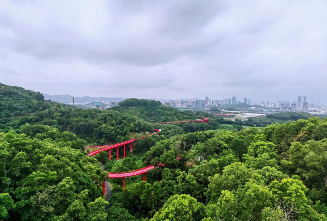 深圳附近五一去哪玩比较好 深圳附近五一好玩的地方推荐