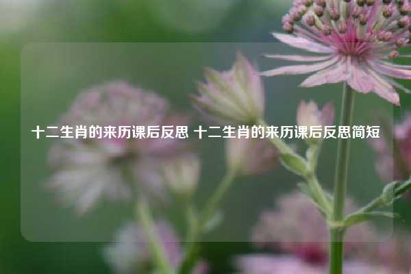 十二生肖的来历课后反思 十二生肖的来历课后反思简短