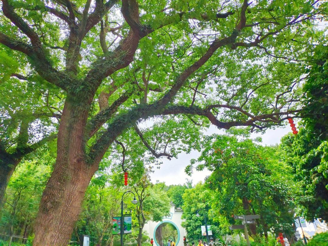 五一去哪玩福建福州 福州五一哪里风景适合旅游