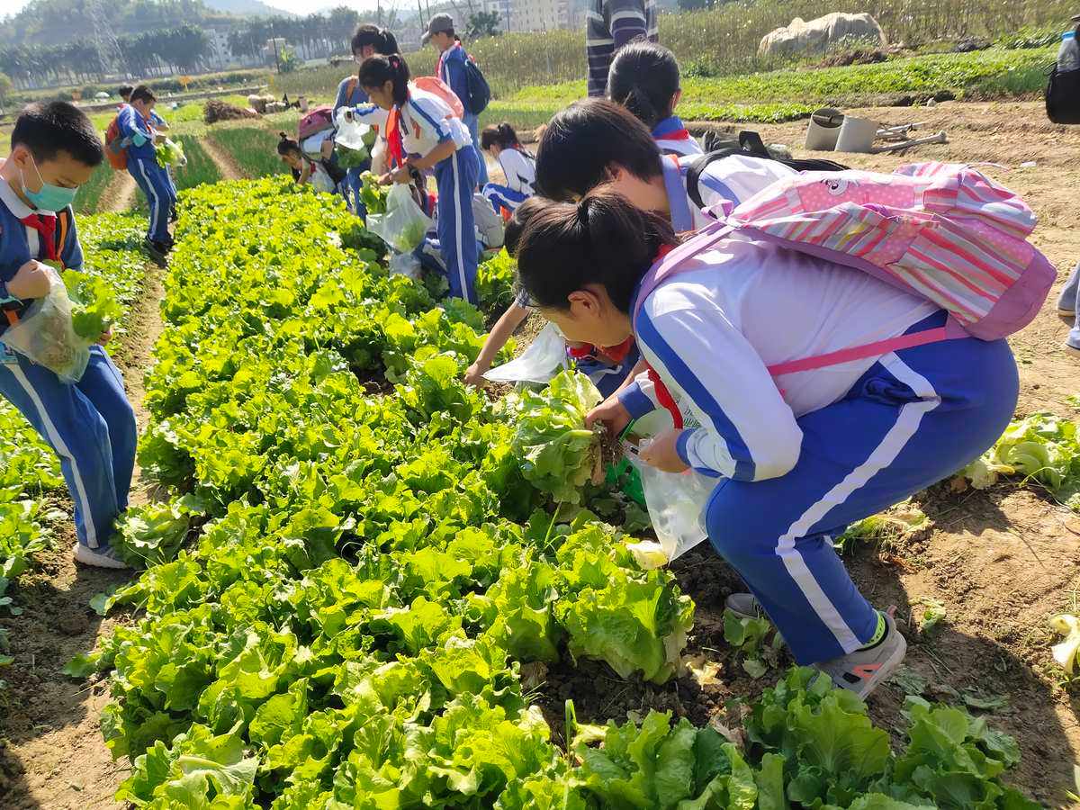 研学旅游基地是什么意思 研学旅行基地建设标准和申报流程