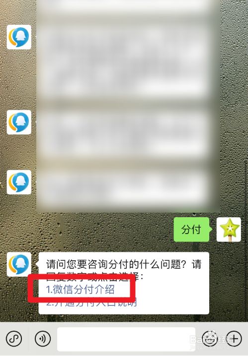 怎么把微信的分付套出来 怎么把微信的分付套出来呢