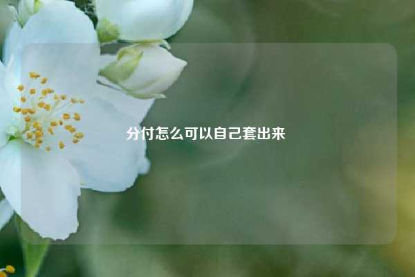 分付怎么可以自己套出来 