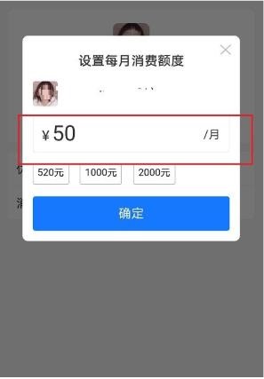 白条亲情额度怎么套出来吗 白条亲情额度可以分期还款吗