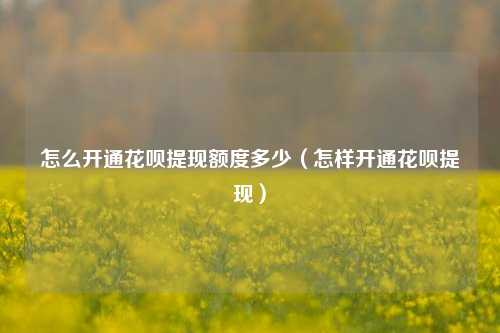 怎么开通花呗提现额度多少（怎样开通花呗提现）